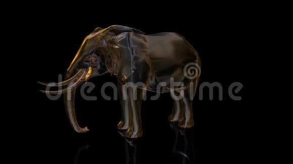 在黑暗背景上从低聚线框中隔离的大象由点线和形状组成的多边形视频视频的预览图