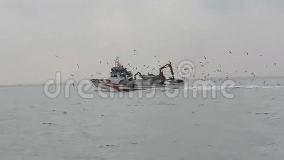 渔船在海中盘旋海鸥飞翔视频的预览图