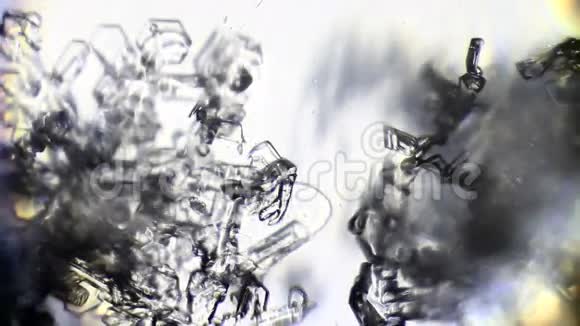 背景来自雪花水晶视频的预览图