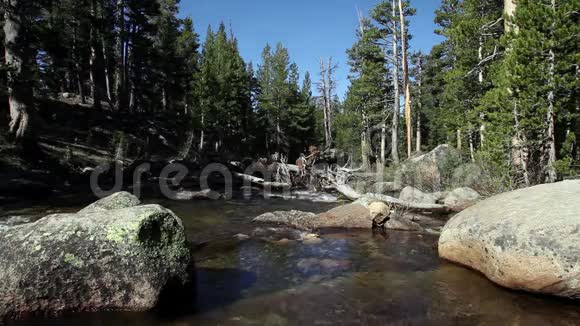 溪流在岩石和树木之间流动视频的预览图
