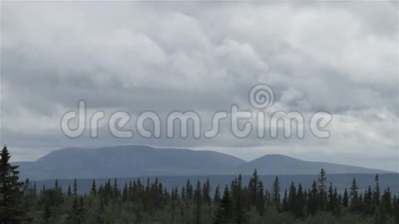 森林山脉上空的云视频的预览图