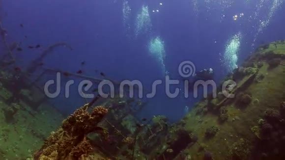 潜水员在红海的珊瑚礁阿布努哈斯水下沉船附近视频的预览图