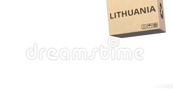带有立陶宛文字产品的掉落盒概念三维动画视频的预览图