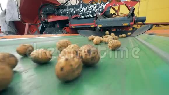 土豆在工厂传送带上移动关闭视频的预览图