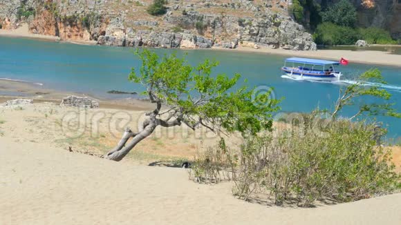 孤独的单身树乘船旅行紫草海龟海滩达利安火鸡视频的预览图