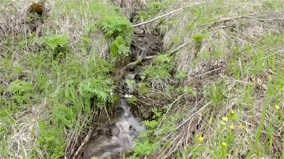 山涧的溪水在河的草丛中视频的预览图