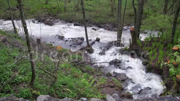 格鲁吉亚山区的野生瀑布和溪流视频的预览图