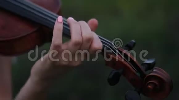 黄昏时分女小提琴手在草地上拉小提琴视频的预览图