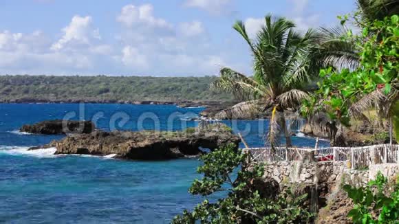 热带海岸有棕榈树和岩石视频的预览图