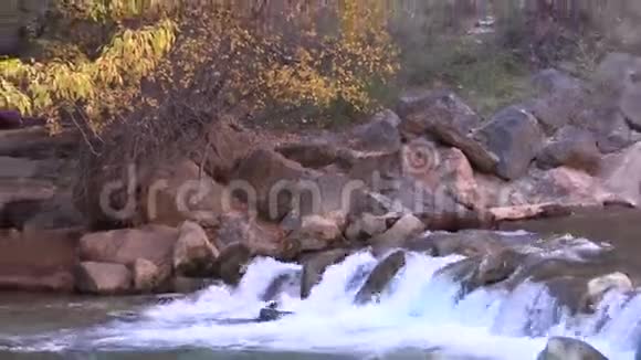 维珍河瀑布Zoout锡安国家公园视频的预览图