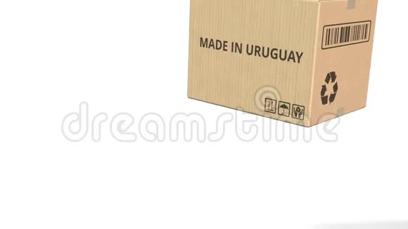 在一个仓库纸箱上的乌拉圭文3D动动画视频的预览图