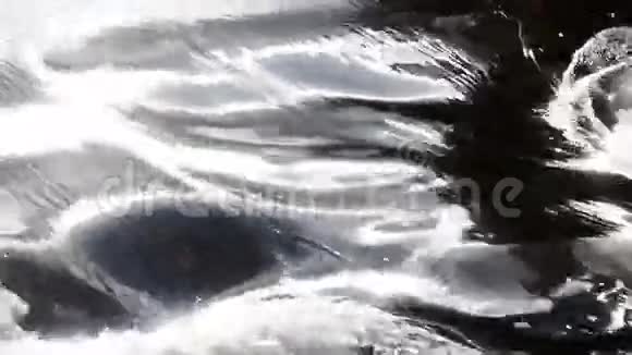流动的水背景视频的预览图