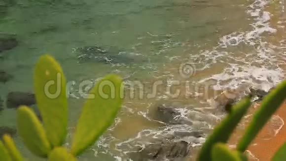 绿松石地中海海滩背包焦点1视频的预览图