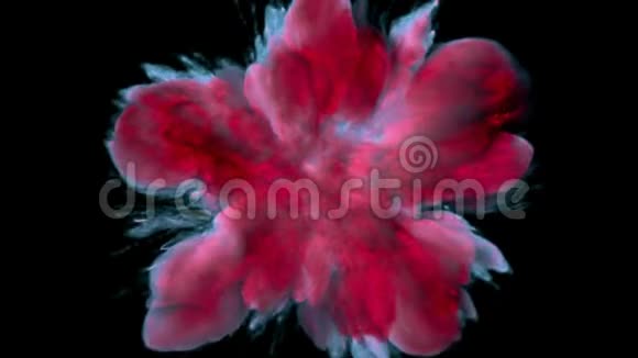 红粉色爆彩烟粉爆炸液体墨水颗粒阿尔法视频的预览图