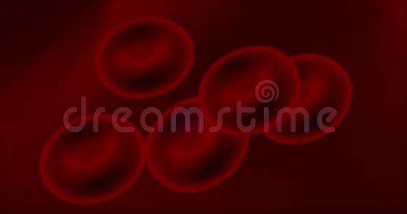 人类红细胞视频的预览图