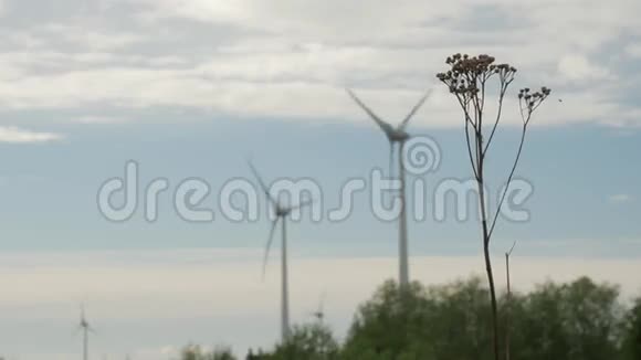 风力发电场电力发电机在多云的天空背景下现场视频的预览图