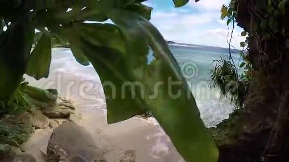 热带泻湖上几乎没有棕榈树和白色海滩天堂岛努沙伦邦根巴厘岛印度尼西亚蓝水和蓝水视频的预览图