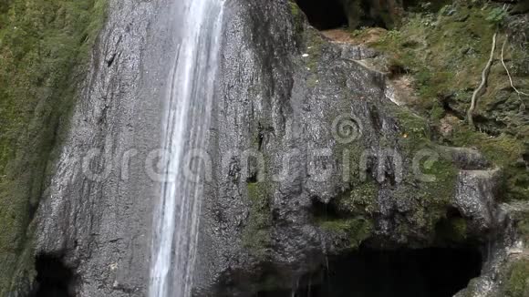 森林水体和岩石视频的预览图
