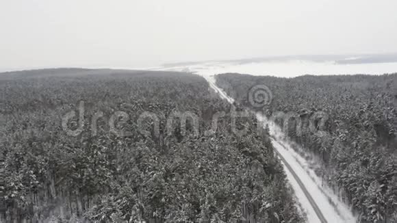 在冬天的福勒斯特飞过公路视频的预览图