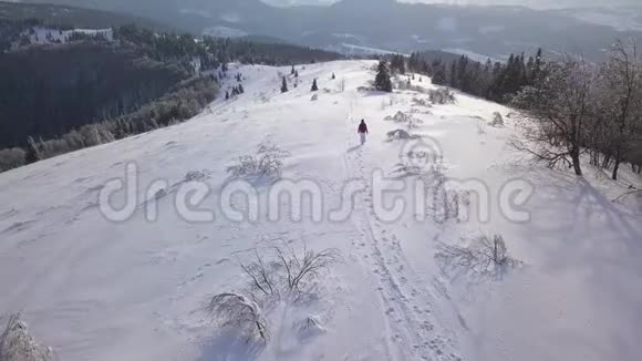 飞越孤独的旅游女孩沿着一座覆盖着雪的山顶行走晴朗的霜冻天气视频的预览图