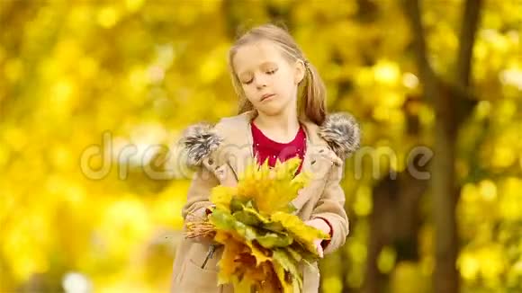 美丽的孩子带着黄色和橙色的叶子花束在户外美丽的秋日视频的预览图