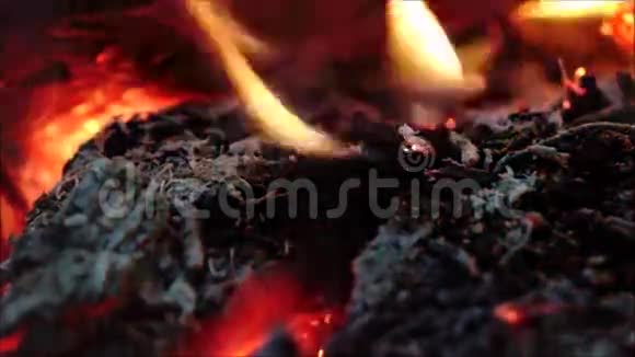 开火宏森林里的篝火特写镜头视频的预览图