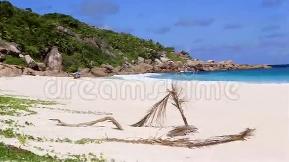 美丽海滩的全景视频的预览图
