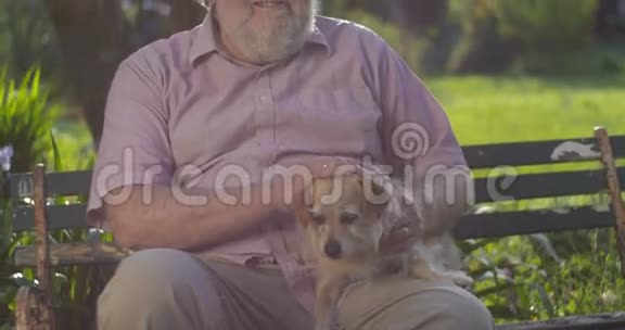 老年退休老人爷爷带狗快乐微笑画像视频的预览图