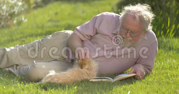 退休老人在户外放松阅读一本带狗书的画像视频的预览图
