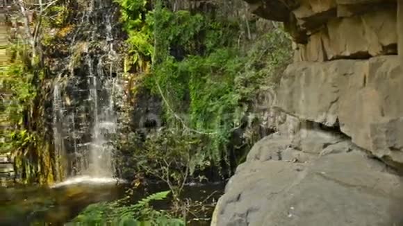 非洲丛林瀑布博茨瓦纳视频的预览图