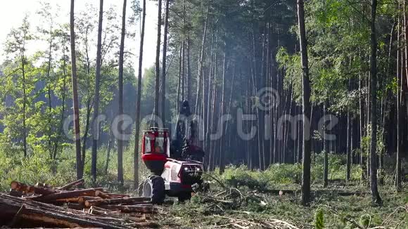 木材收割机森林采伐伐木木材收割机特种设备森林采伐视频的预览图