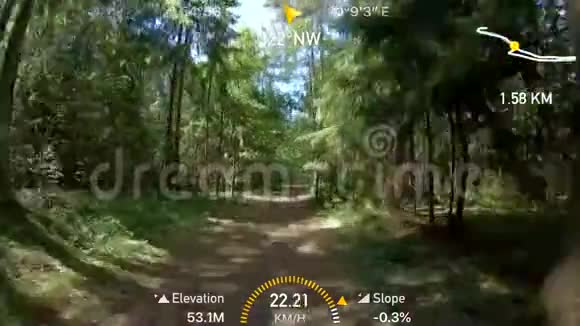 在夏天的森林里骑自行车视频的预览图