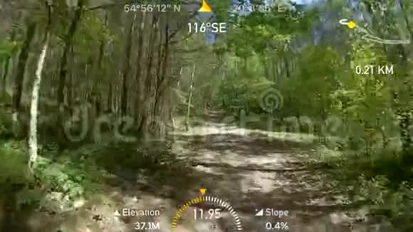 在夏天的森林里骑自行车视频的预览图