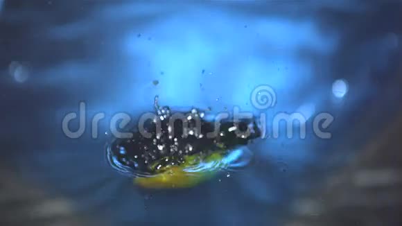 杰拉佩诺辣椒落水视频的预览图