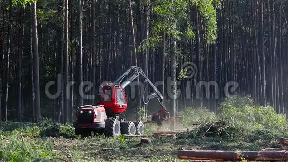 木材收割机森林采伐伐木木材收割机特种设备森林采伐视频的预览图