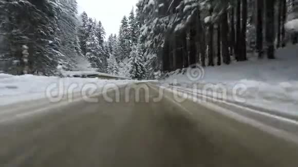 在冬天的森林里开车视频的预览图