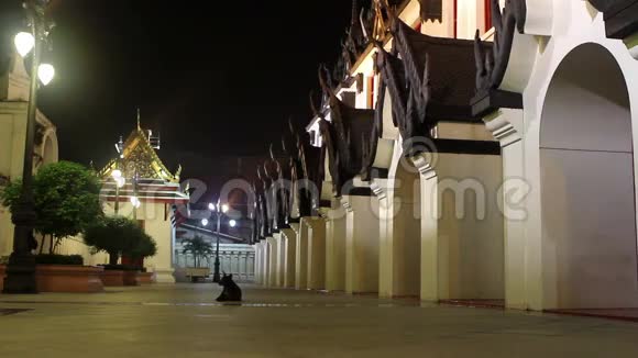 晚上的历史宫殿视频的预览图