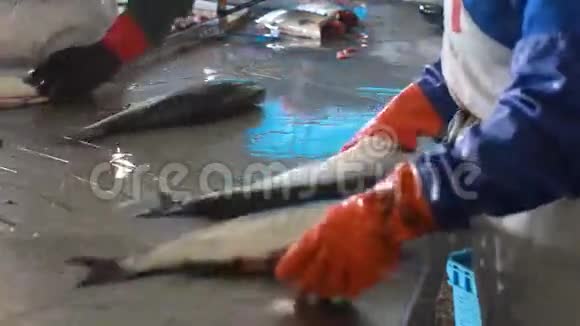 手工剥鲑鱼视频的预览图