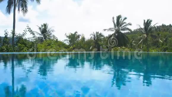 游泳池表面有棕榈树视频的预览图