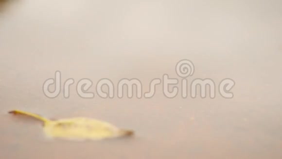 下雨天网球场上的水浅红色碎粘土面上水塘黄桦叶水中的云视频的预览图
