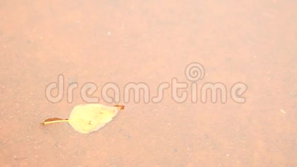 下雨天网球场上的水浅红色碎粘土面上水塘黄桦叶镜子中的云视频的预览图