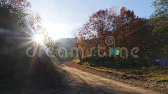 森林道路上的镜头移动阳光透过树叶照耀视频的预览图