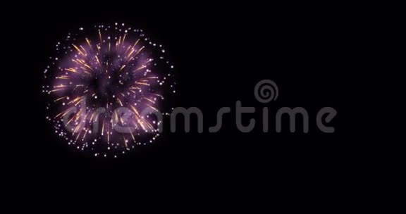 五颜六色的抽象闪烁的火花庆祝烟花灯在黑色的背景彩色喜庆的新年假期视频的预览图