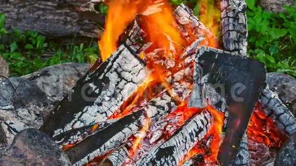 篝火晚会燃烧的日志余烬两根木头从火里掉了出来视频的预览图