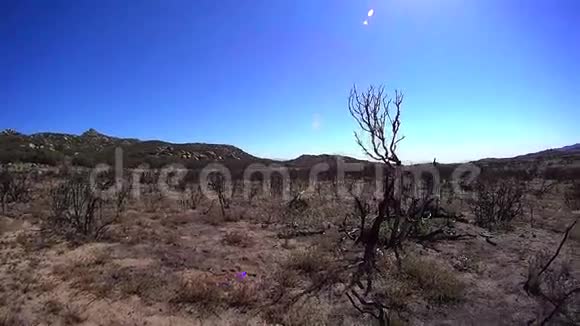 碧玉小径博尔雷戈沙漠CaPOV360视频的预览图