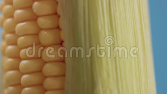 蓝色背景上的玉米芯视频的预览图