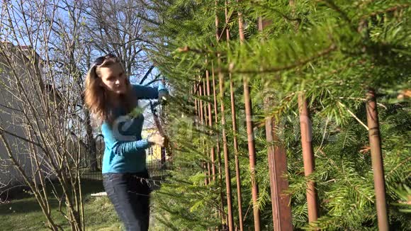 园丁妇女修剪杉树篱与红色剪刀4K视频的预览图