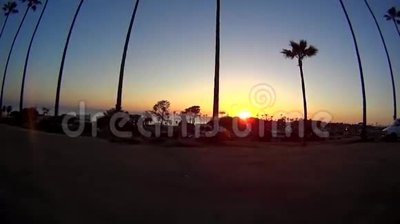 加州棕榈树日落视频的预览图