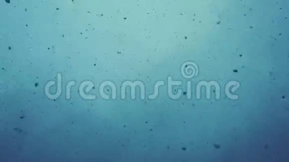 下雪了许多雪花在蓝雾上飞舞视频的预览图