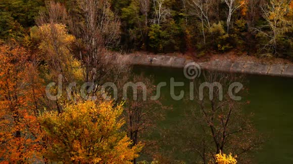 十一月的山景与树梢和河流视频的预览图